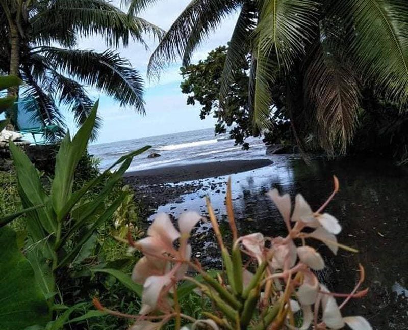 1666148029_VM349_3_original