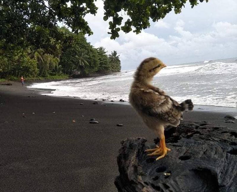 1666148068_VM349_5_original