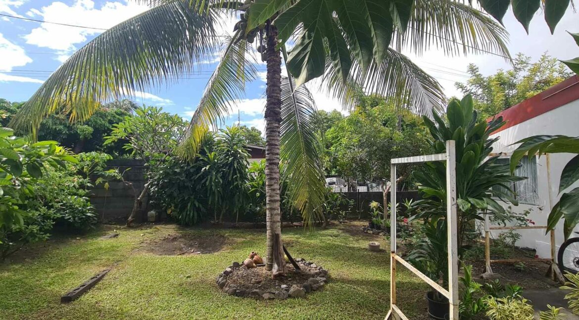 1743809163_LM361_2_original