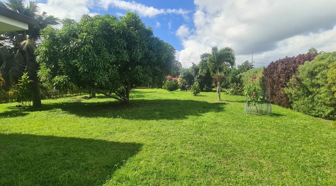 1756346639_LM365_3_original