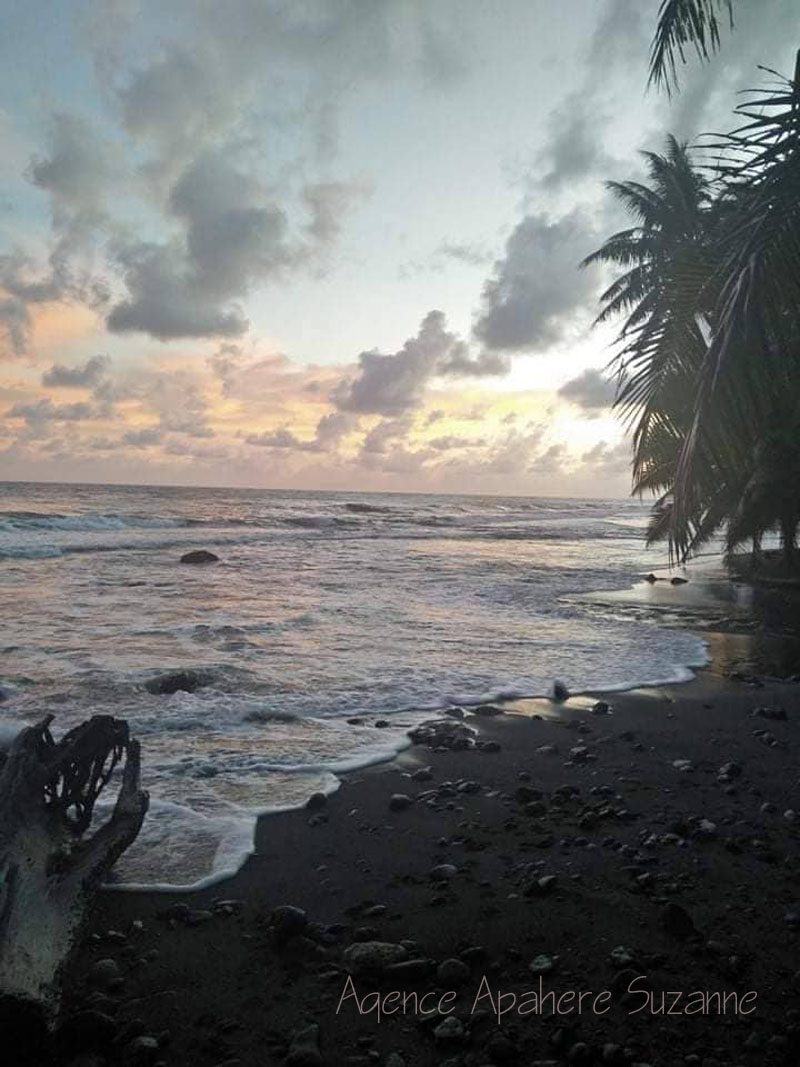 property_gallery_img_4756