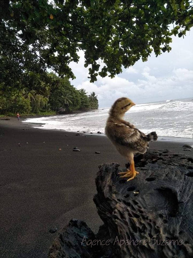 property_gallery_img_4757