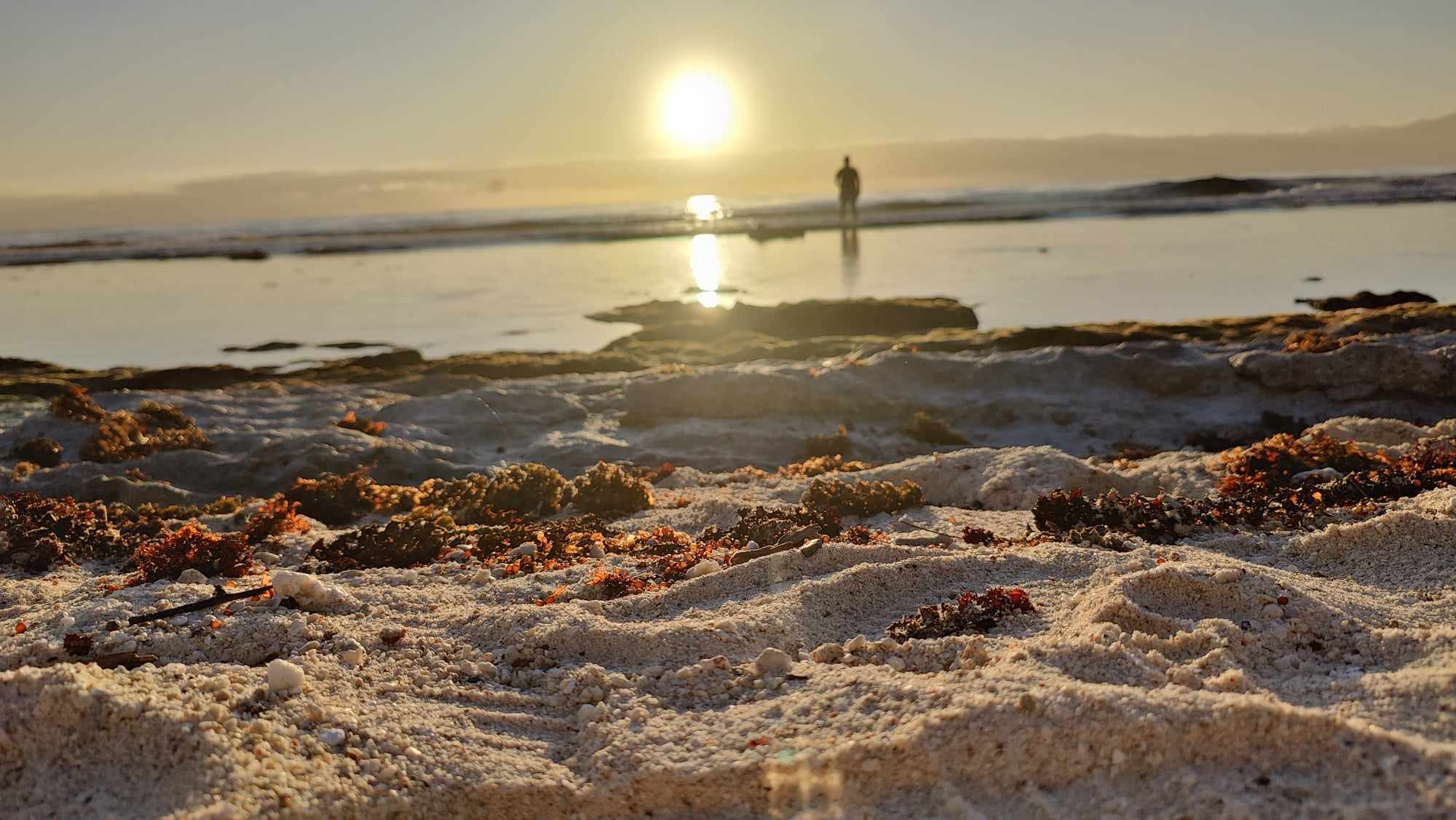 property_gallery_img_4741