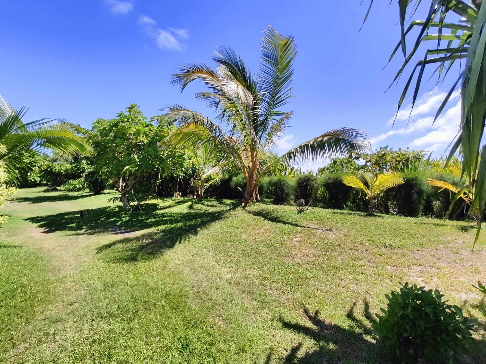 property_gallery_img_4742