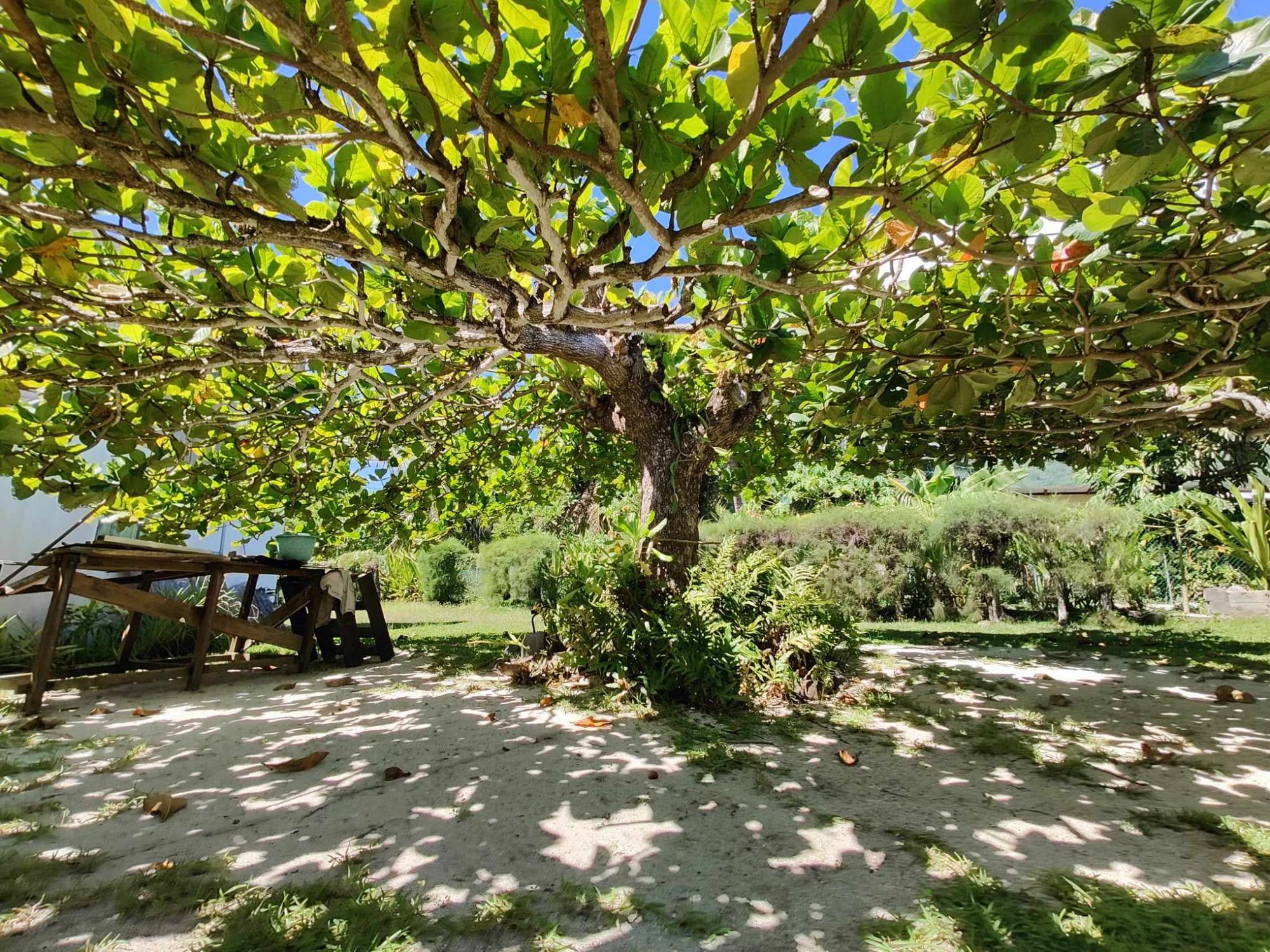 property_gallery_img_4744