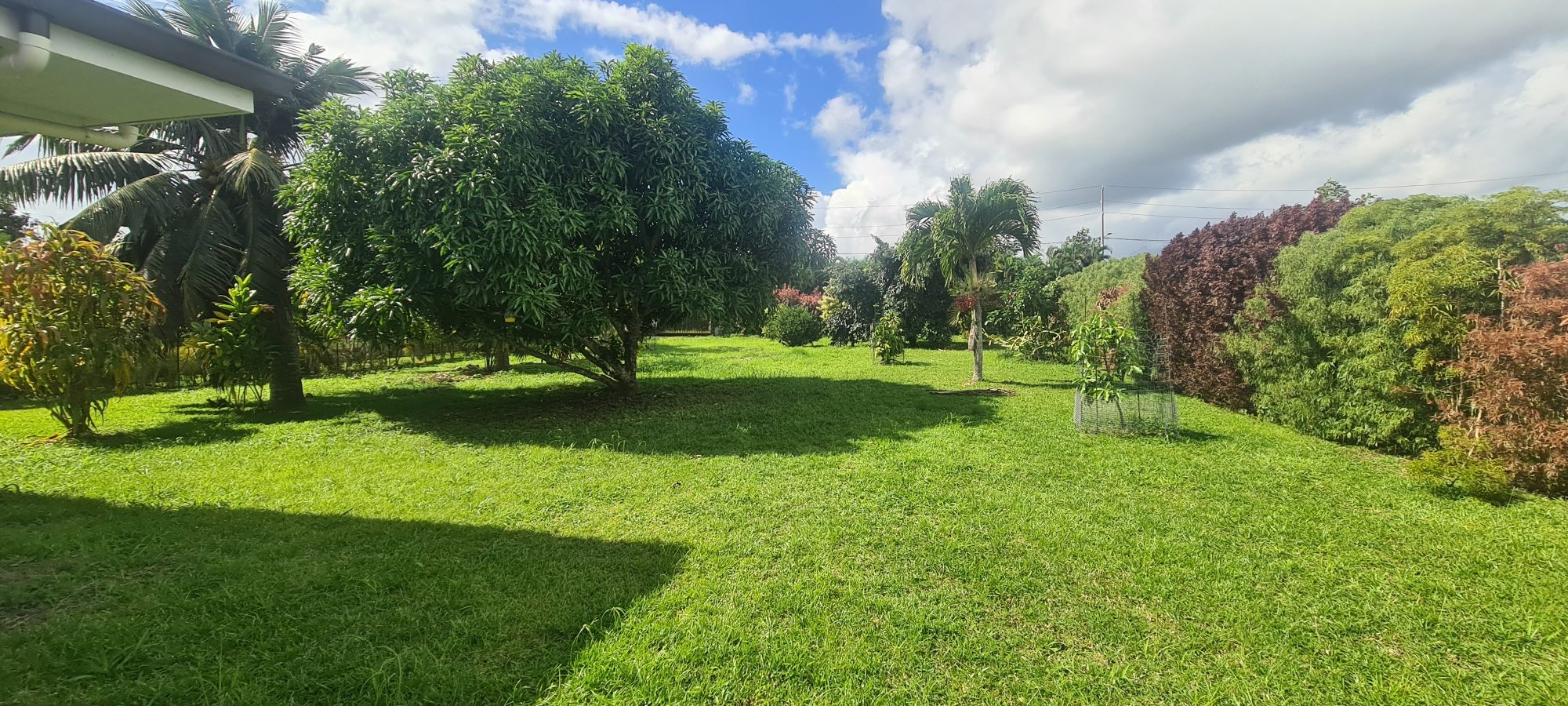 property_gallery_img_4820