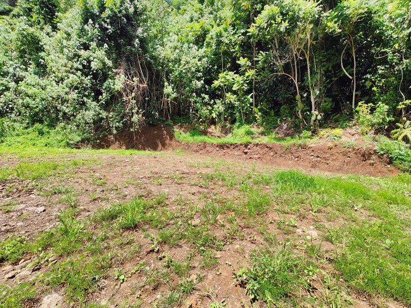 property_gallery_img_4814